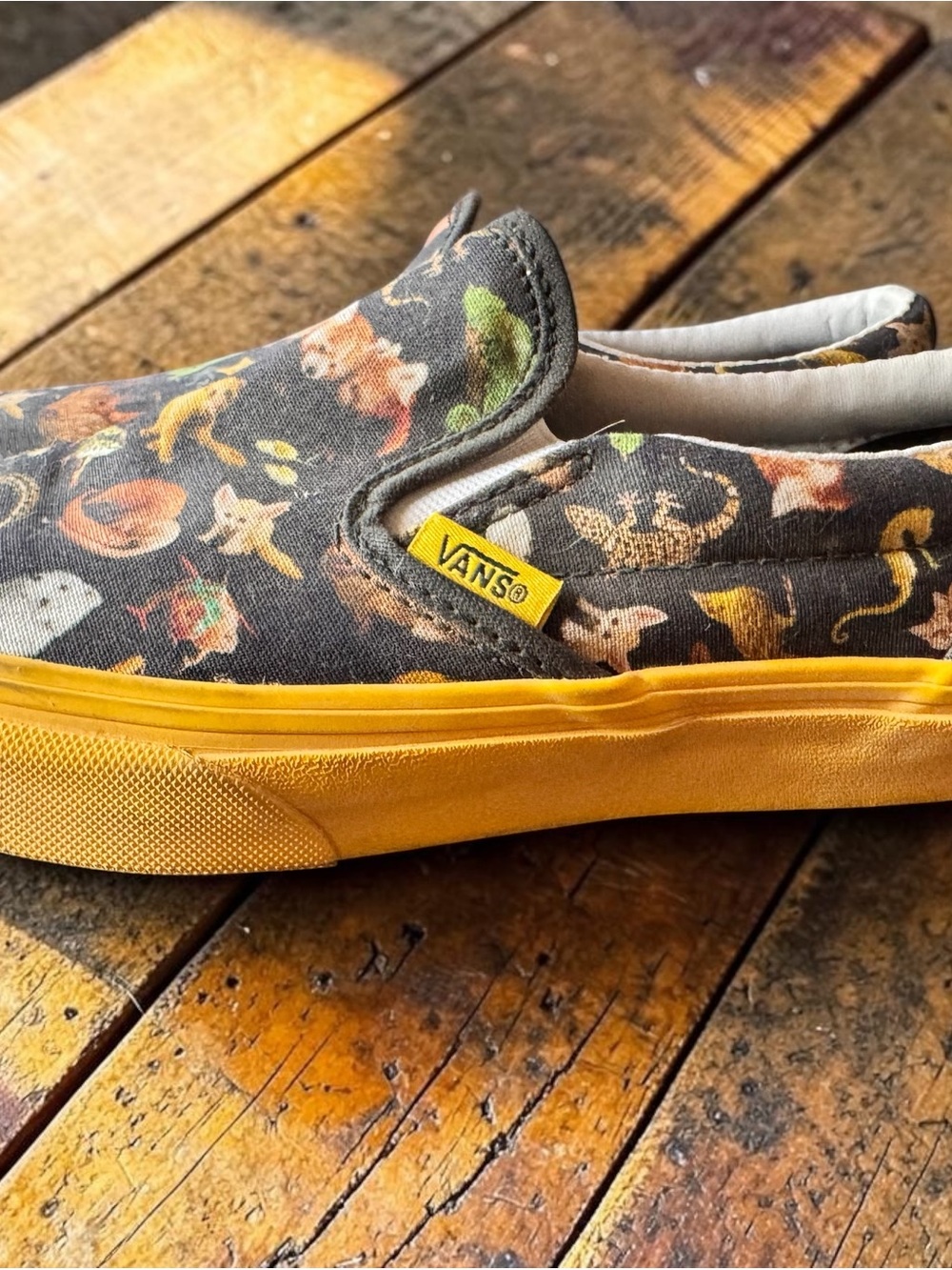 Vans Kids' Slip on - National Geographic Size 4